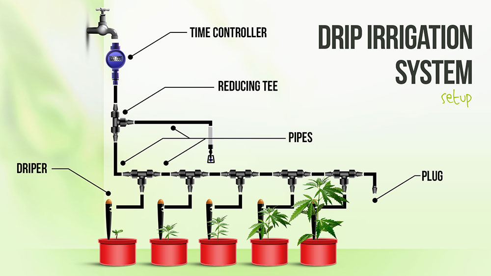 drip-irrigation-system